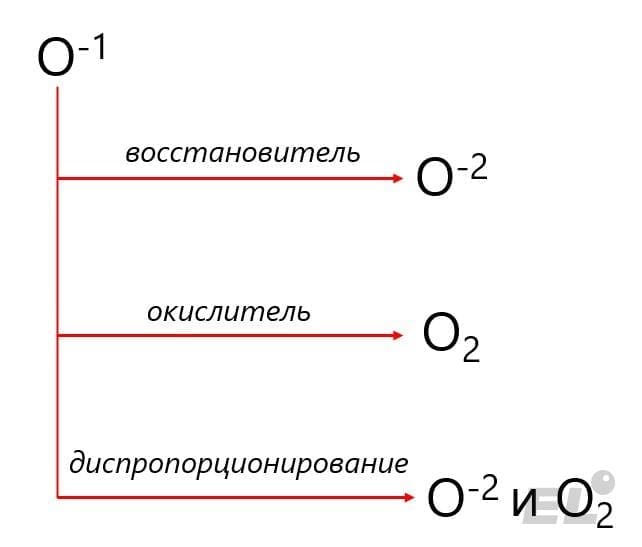 Кислород – элемент второго периода, шестой группы главной подгруппы. Для кислорода как простого вещества характерны...