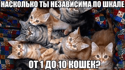 В разные исторические периоды общество рассматривалось с разных точек зрения. Некоторые мыслители и философы рассматривали...