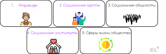 Общество является системой и состоит из более мелких элементов: Индивид — единичный представитель человеческого рода,...